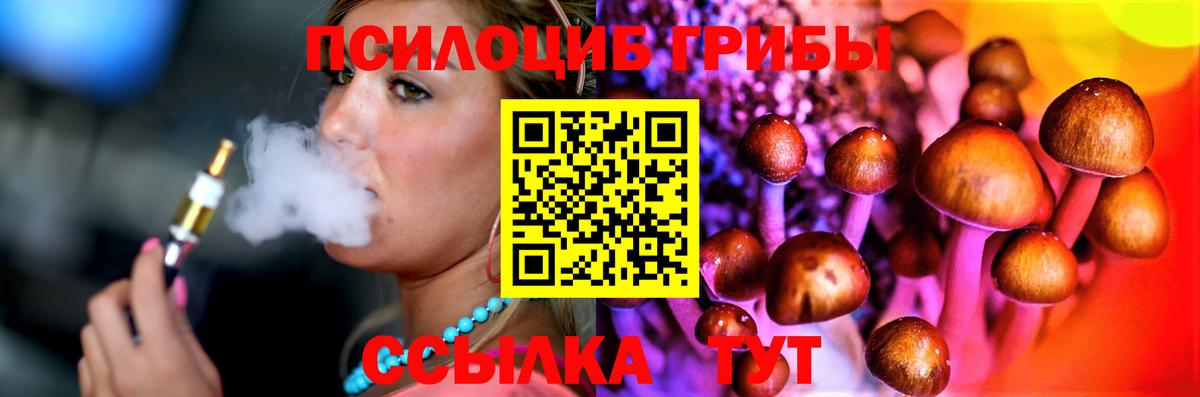 Владикавказ  Галлюциногенные грибы Psilocybine cubensis  Вход с VPN  Галлюциногенные грибы GOLDEN TEACHER 
